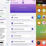 Everest Cyida tweak Review, Hack4Life, Fabian Geissler, iPhone 6 Plus