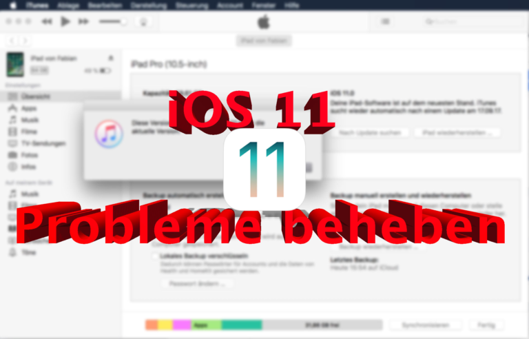 Probleme bei der iOS 11 Installation beheben