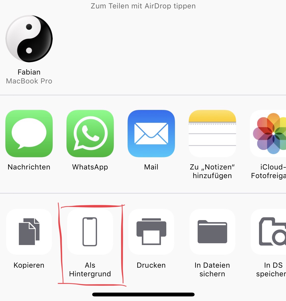 Heruntergeladenes Bild als Hintergrund festlegen, iPhone X, Anleitung, Hack4Life, Fabian Geissler, How To, Tutorial, Dock ausblenden