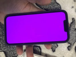 iPhone 13 Pinker Bildschirm – Software sorgt für Probleme iPhone 13 Pinker Bildschirm, iPhone Bug, Hack4Life, Fabian Geissler